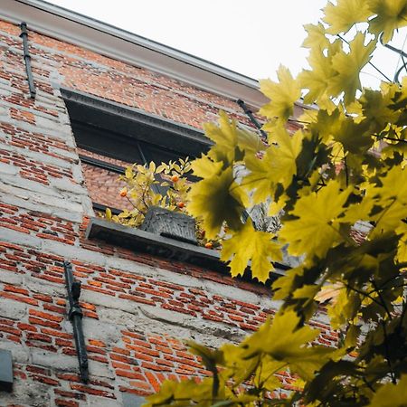Duplex In Historical Centre With Private Courtyard Apartment Antwerp Exterior photo