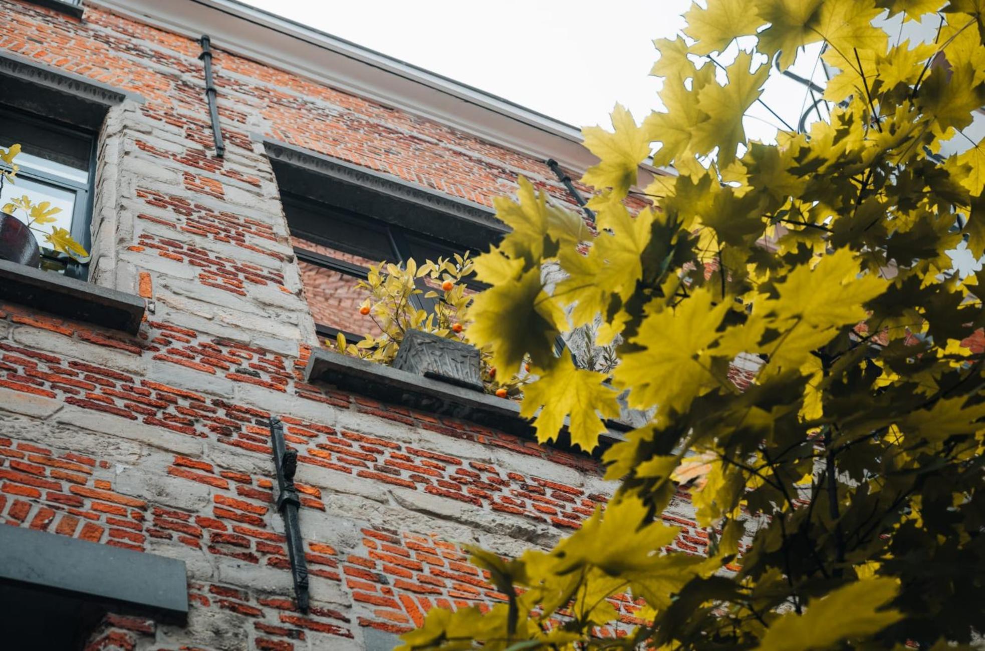 Duplex In Historical Centre With Private Courtyard Apartment Antwerp Exterior photo